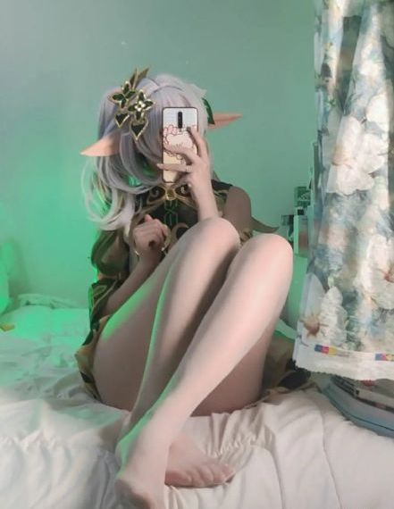 后营季宿2樱花第二露
