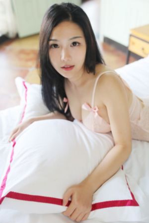 官网是多少91轻量版